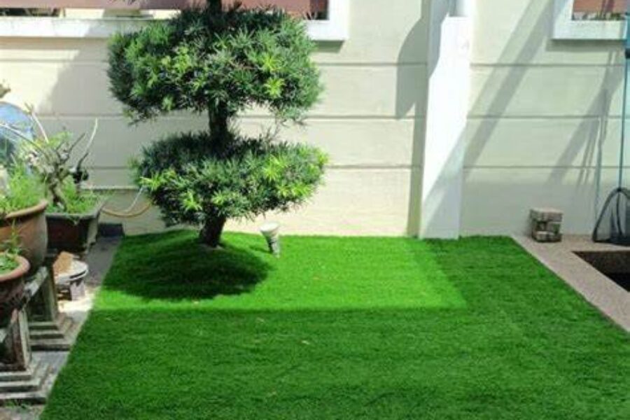 Rumput Sintetis 12 Rumput Sintetis 12
