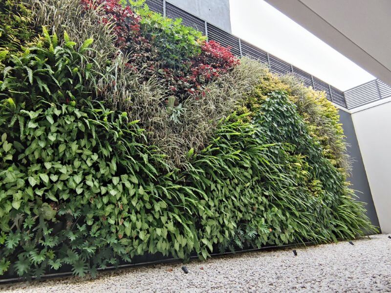 Jasa Pembuatan Vetical Garden