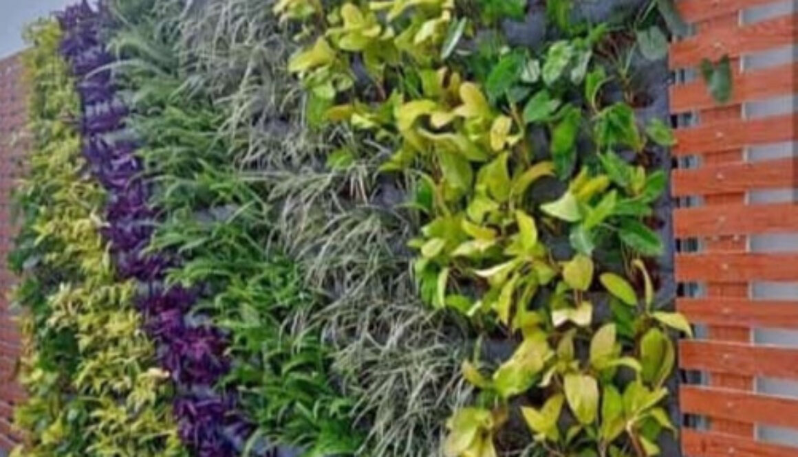 Jasa Pembuatan Vetical Garden