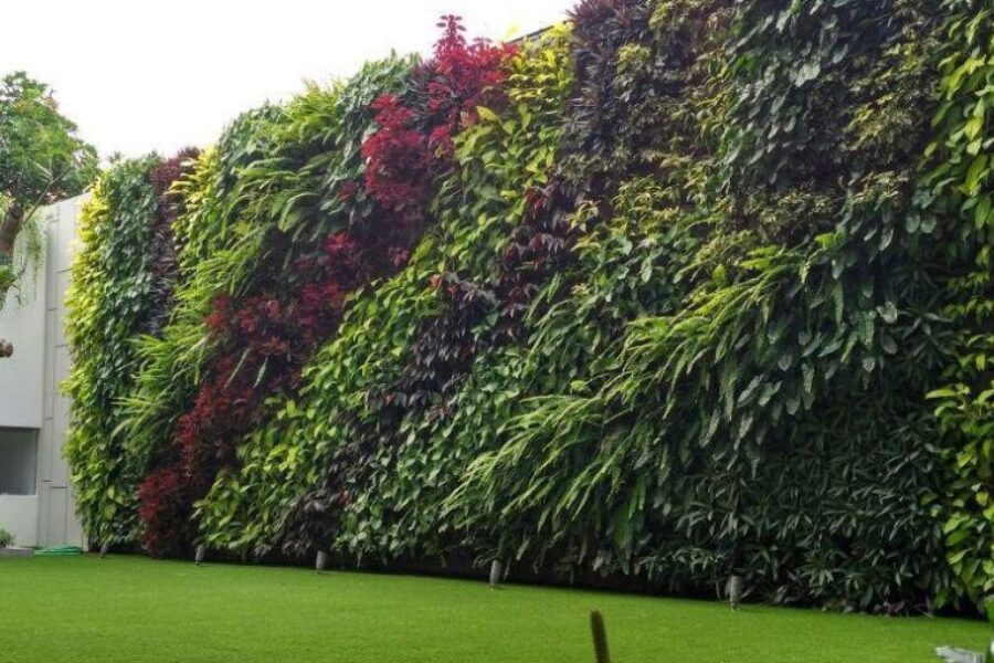 Vertical Garden Jasa Pembuatan Vetical Garden
