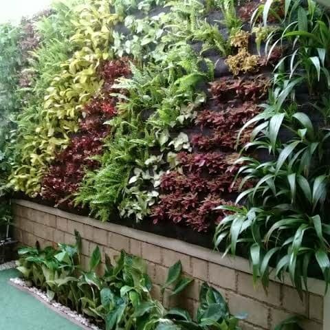 Jasa Pembuatan Vetical Garden