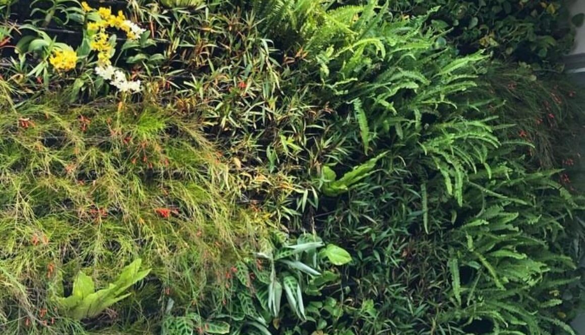 Jasa Pembuatan Vetical Garden