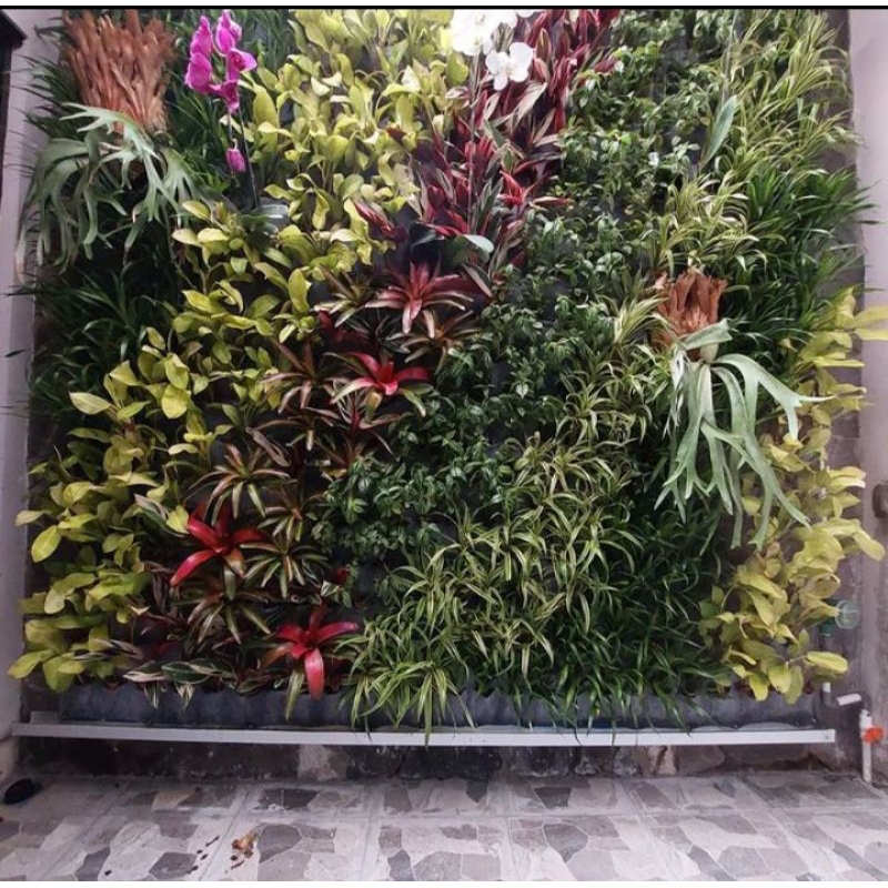 Jasa Pembuatan Vetical Garden