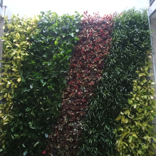 Jasa Pembuatan Vetical Garden