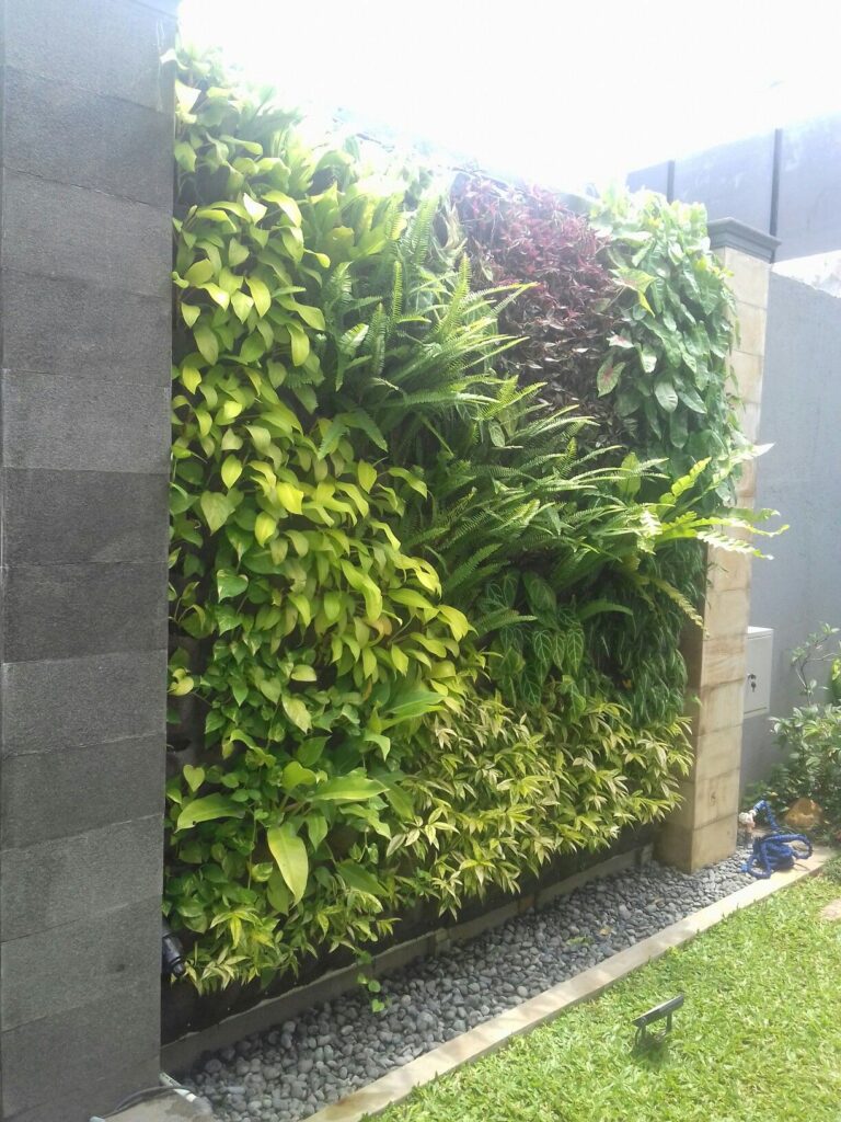 Jasa Pembuatan Vetical Garden