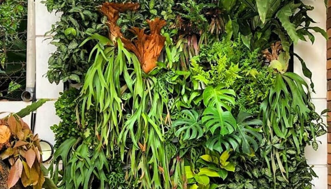 Jasa Pembuatan Vetical Garden