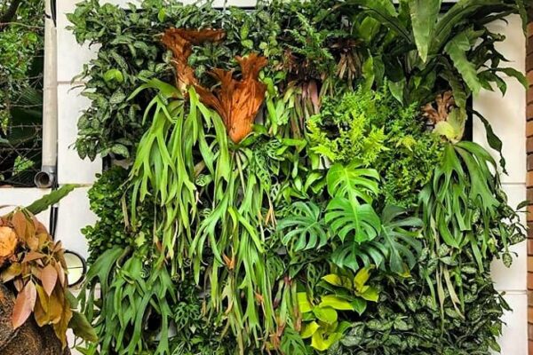 Jasa Pembuatan Vetical Garden
