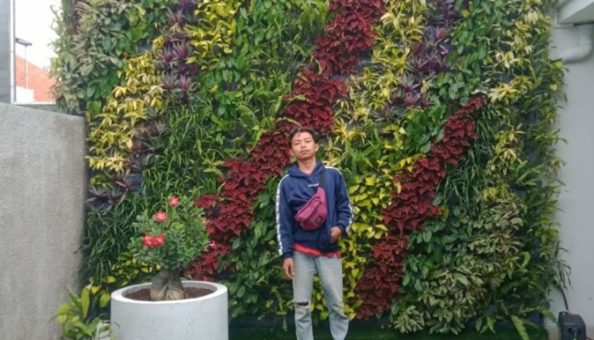 Jasa Pembuatan Vetical Garden