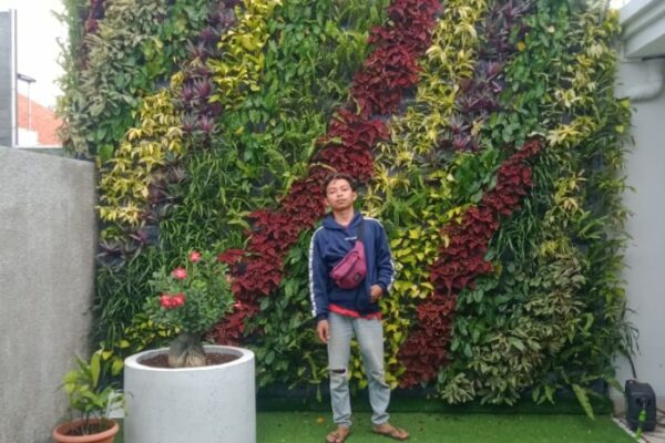 Jasa Pembuatan Vetical Garden