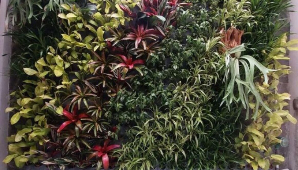 Jasa Pembuatan Vetical Garden