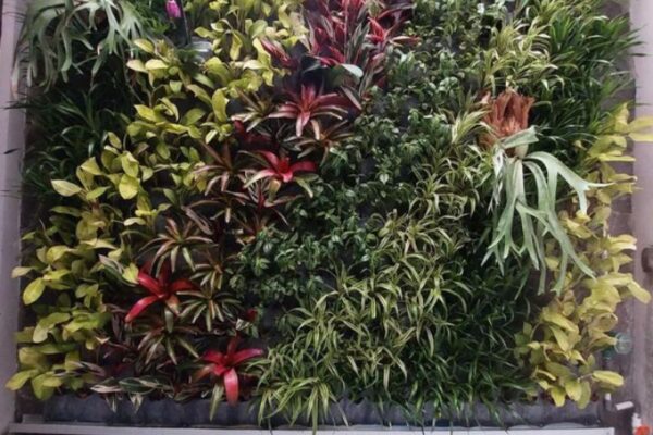 Jasa Pembuatan Vetical Garden