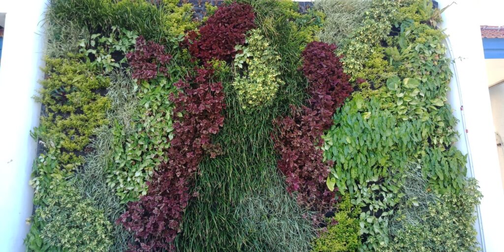 Jasa Pembuatan Vetical Garden
