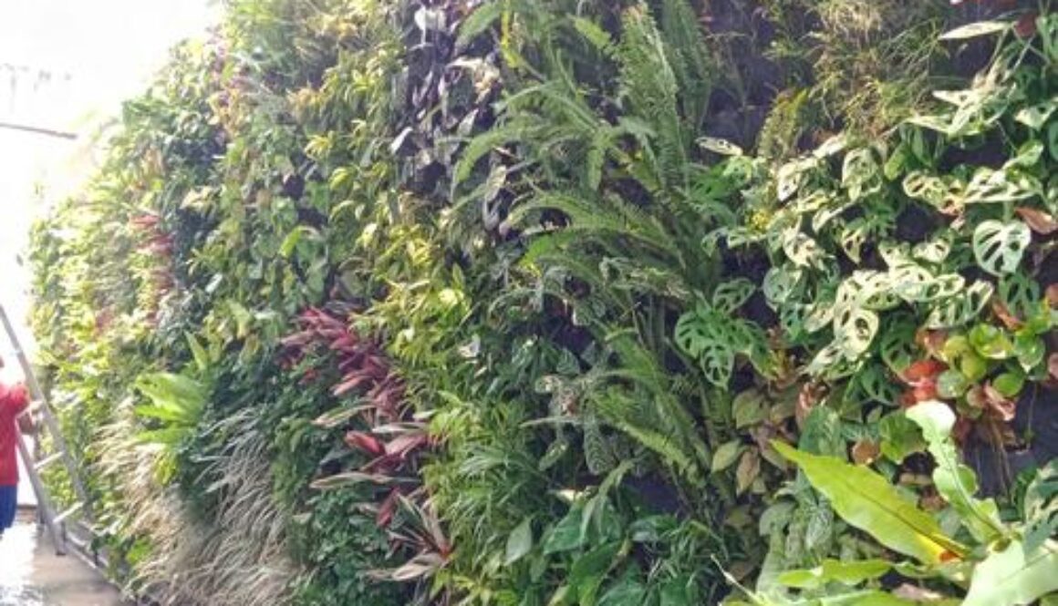 Jasa Pembuatan Vetical Garden