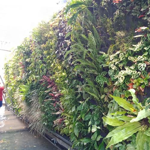 Jasa Pembuatan Vetical Garden