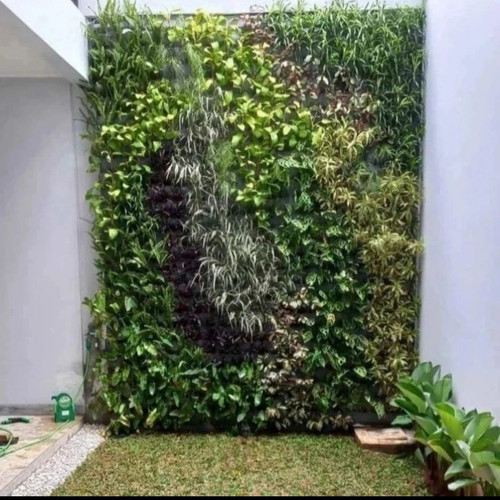 Jasa Pembuatan Vetical Garden