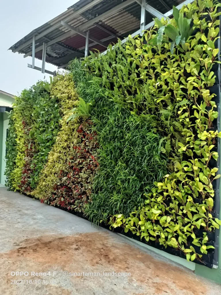 Jasa Pembuatan Vetical Garden