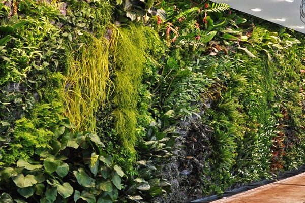 Jasa Pembuatan Vetical Garden