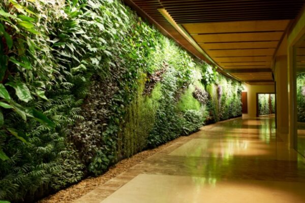 Jasa Pembuatan Vetical Garden