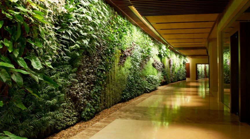 Jasa Pembuatan Vetical Garden