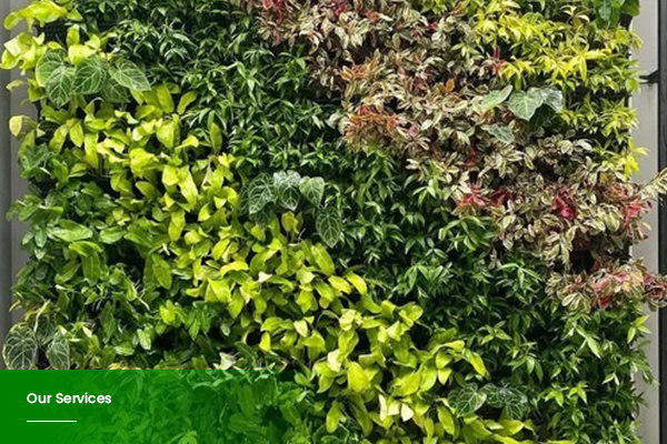 Vertical Garden rf 1